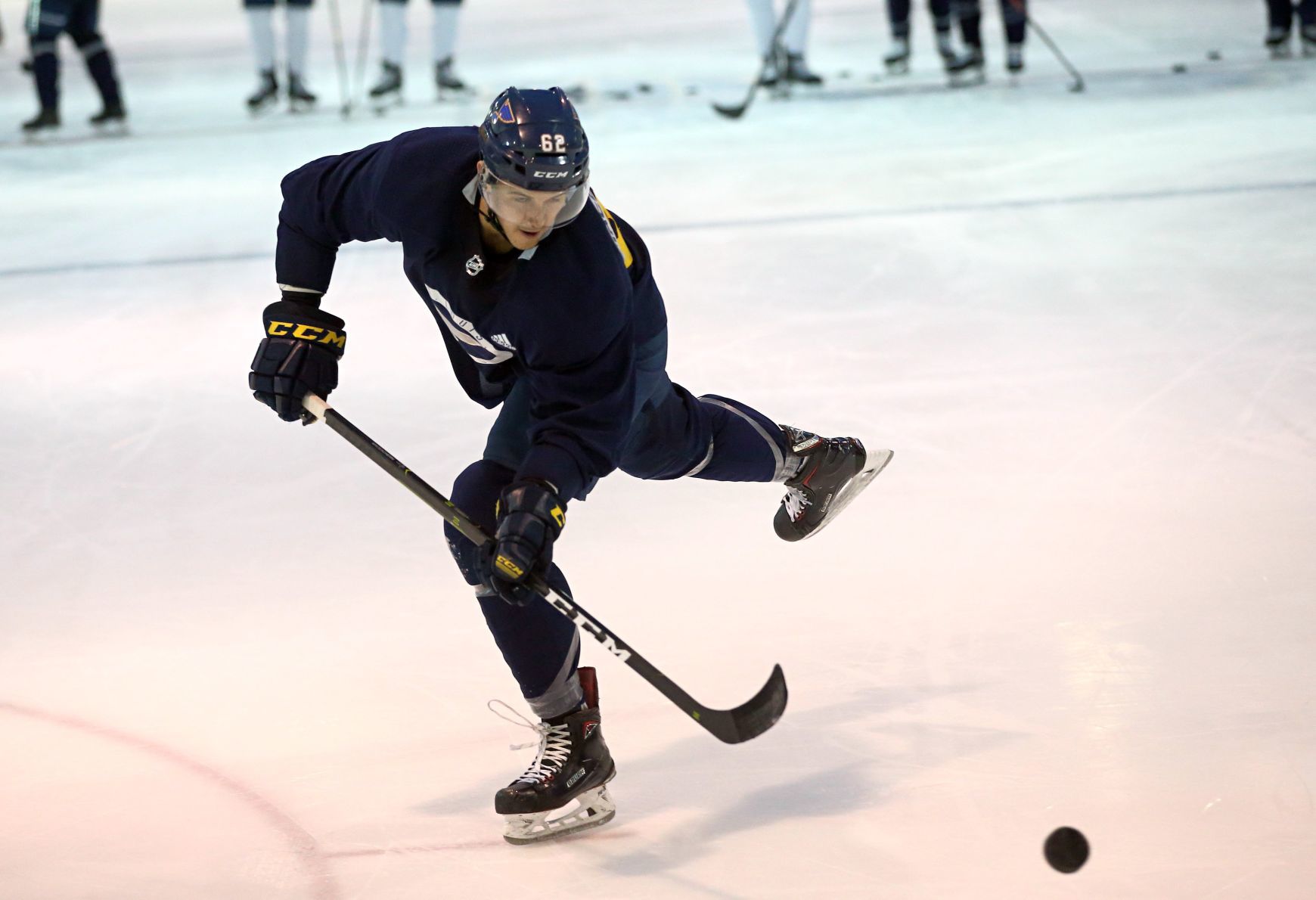 St. Louis Blues 2018-19 training camp